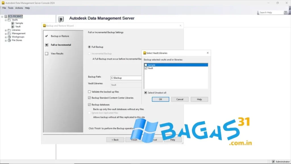 Autodesk Vault Pro Server 2024