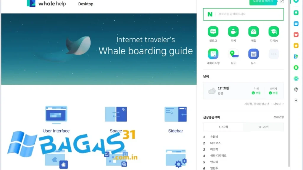 Whale Browser 64Bit
