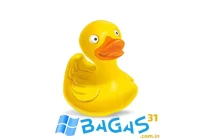 Cyberduck for Windows