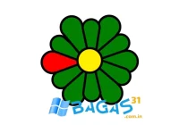 ICQ