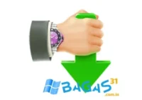 Internet Download Accelerator Pro