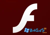 Adobe Flash Player