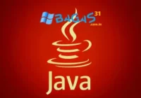 Java SE Runtime Environment (JRE)