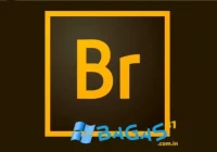 Adobe Bridge CC 2024