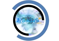 Blue Iris