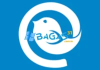 Mailbird Pro