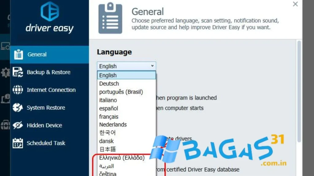 DriverEasy Professional