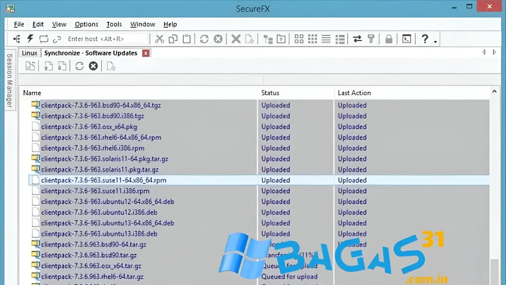 VanDyke SecureCRT and SecureFX