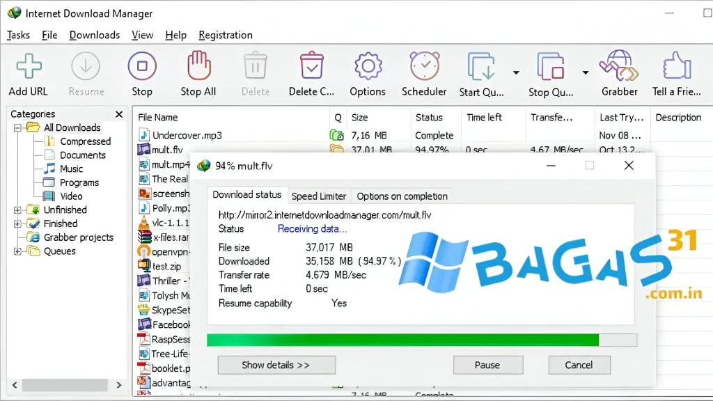 Internet Download Manager