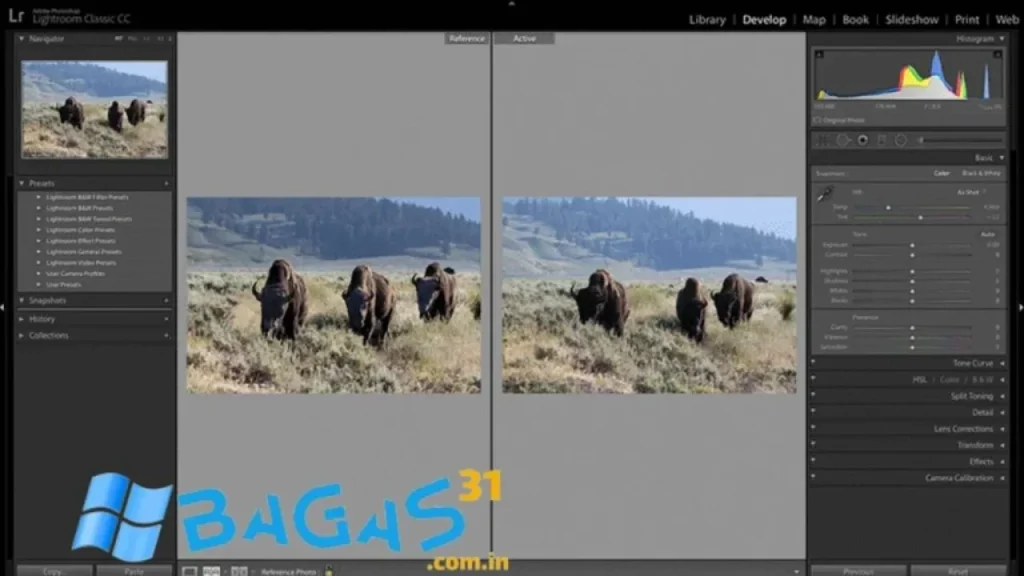 Adobe Photoshop Lightroom CC