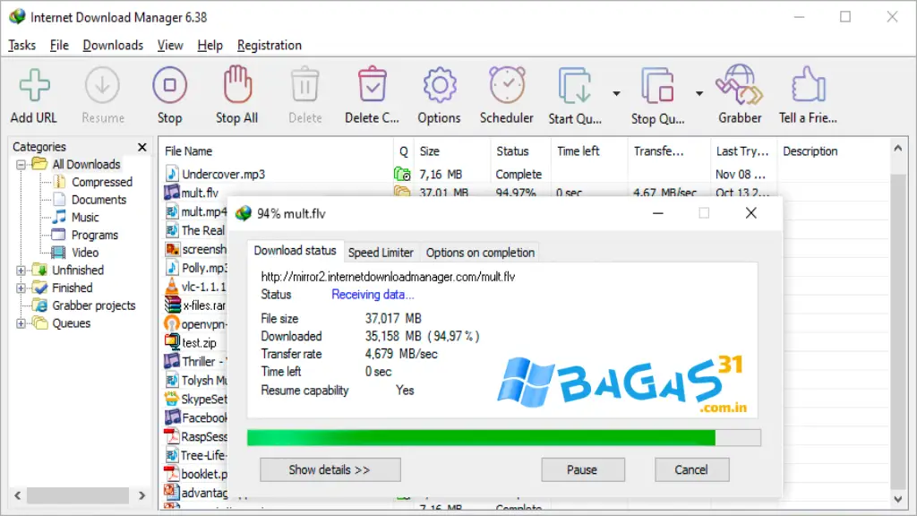 Download IDM Portable Terbaru Full Version