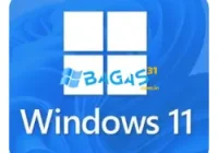 Download Windows 11 Pro ISO