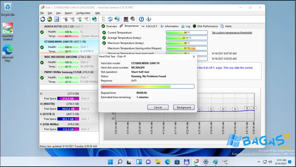 Download HDD Sentinel Portable Full Gratis Bagas31